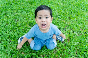 Toddler Tantrums