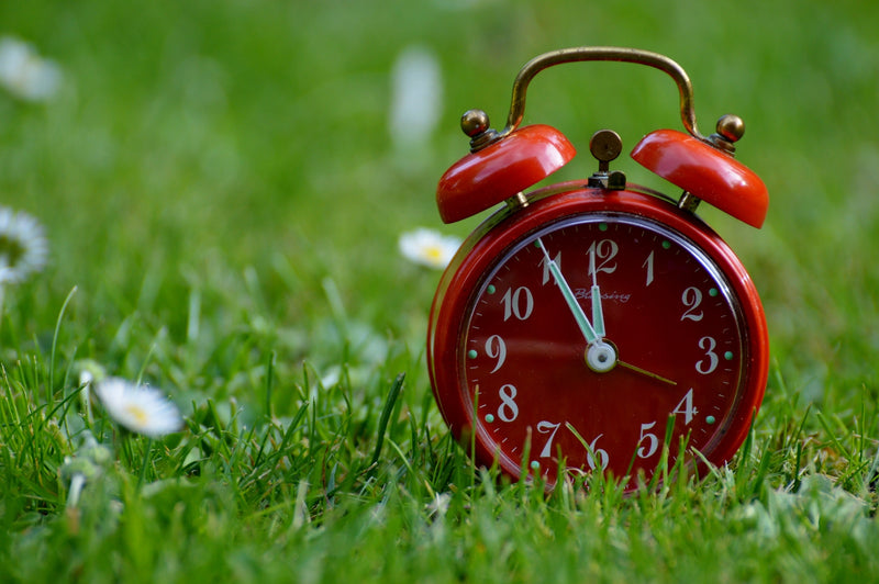 Red analogue alarm clock sitting on grass | Safe Sleep Space