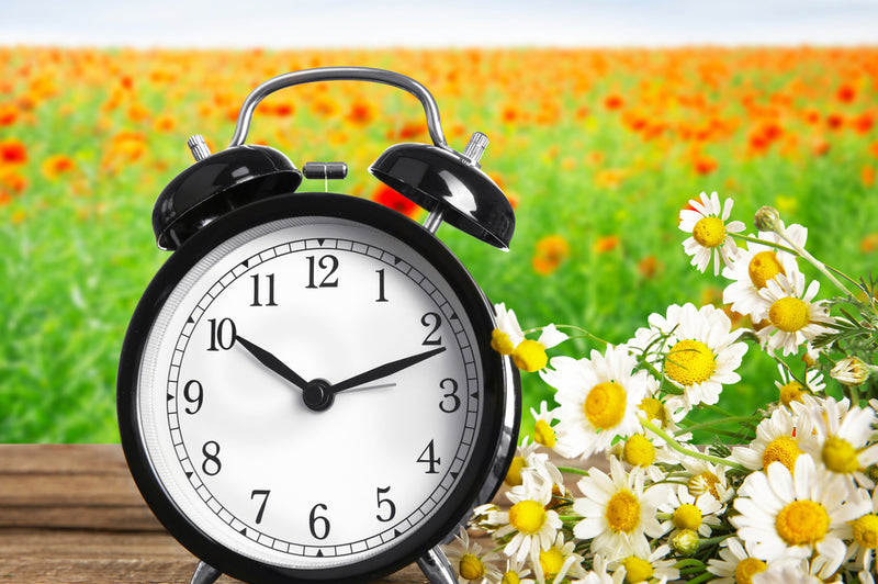 Analogue alarm clock on table with field of flowers behind | Safe Sleep Space