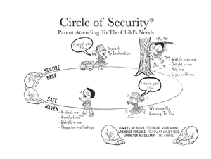 Sleep and Circle of Security Concepts