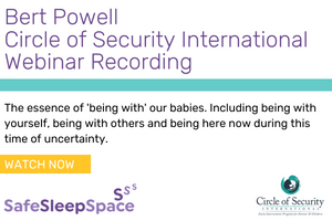 Bert Powell Circle of Security Webinar Recording
