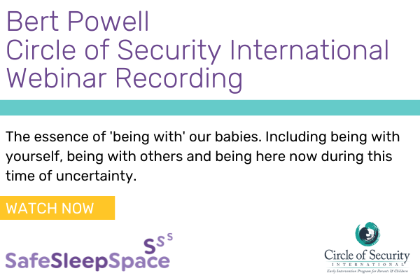 Bert Powell Circle of Security Webinar Recording